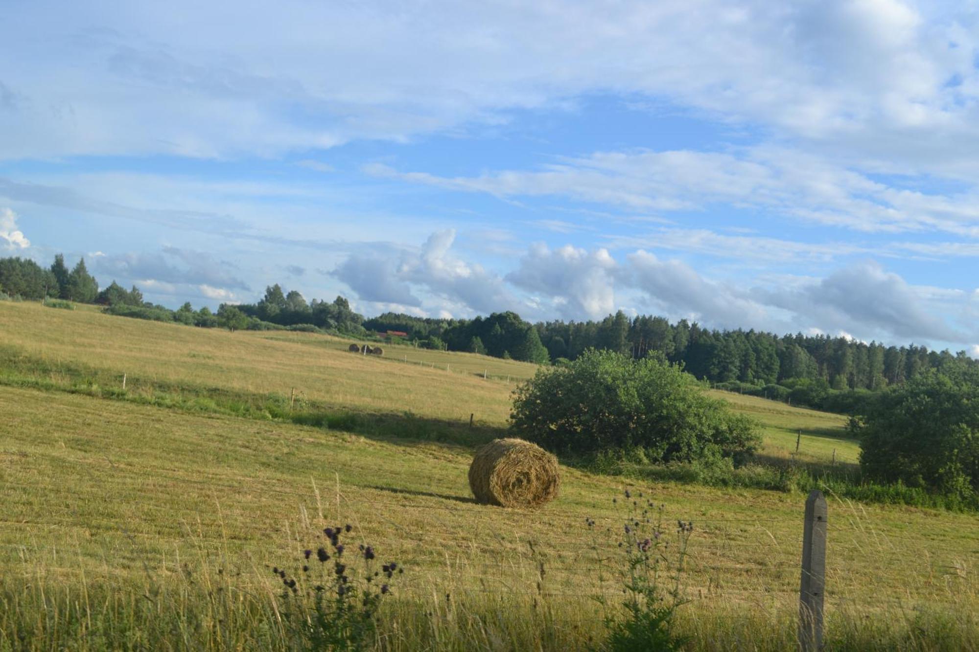 Na Gorce - Mazury, Mragowo Ferienhaus Borowe