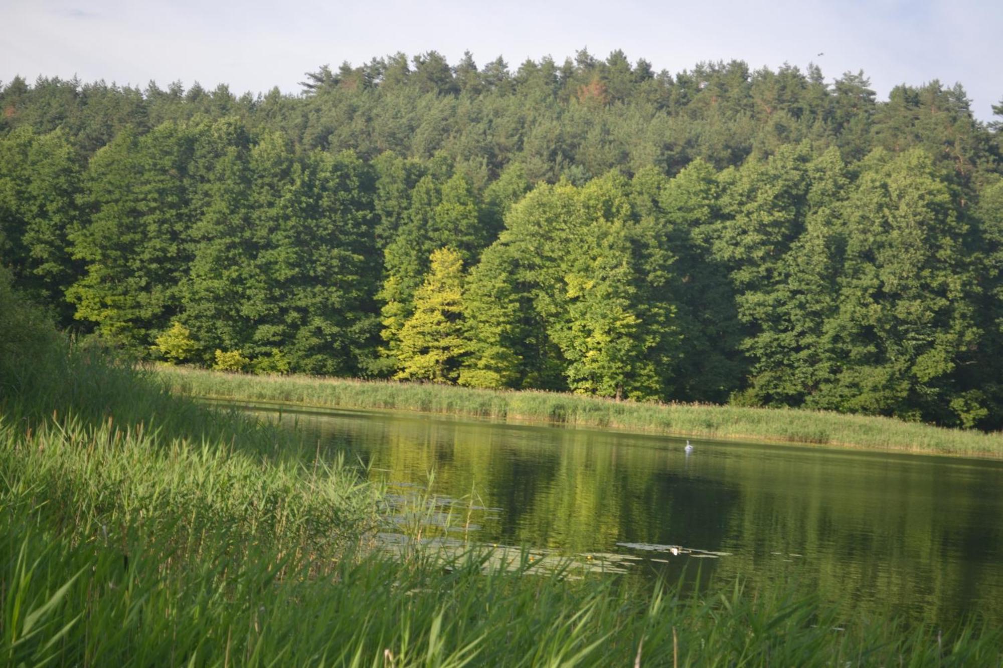 Na Gorce - Mazury, Mragowo Ferienhaus
